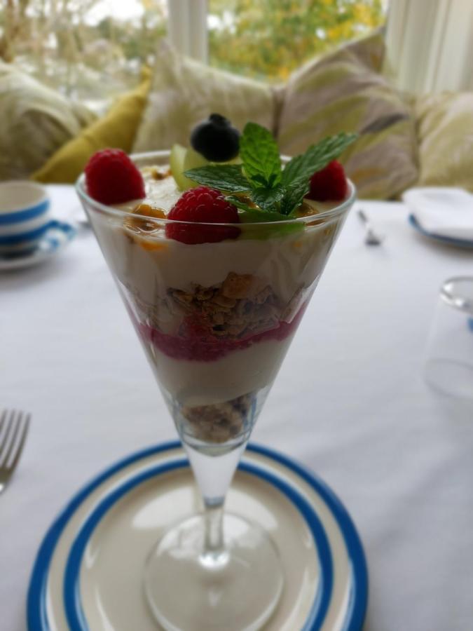 Boscastle House Bed & Breakfast Dış mekan fotoğraf