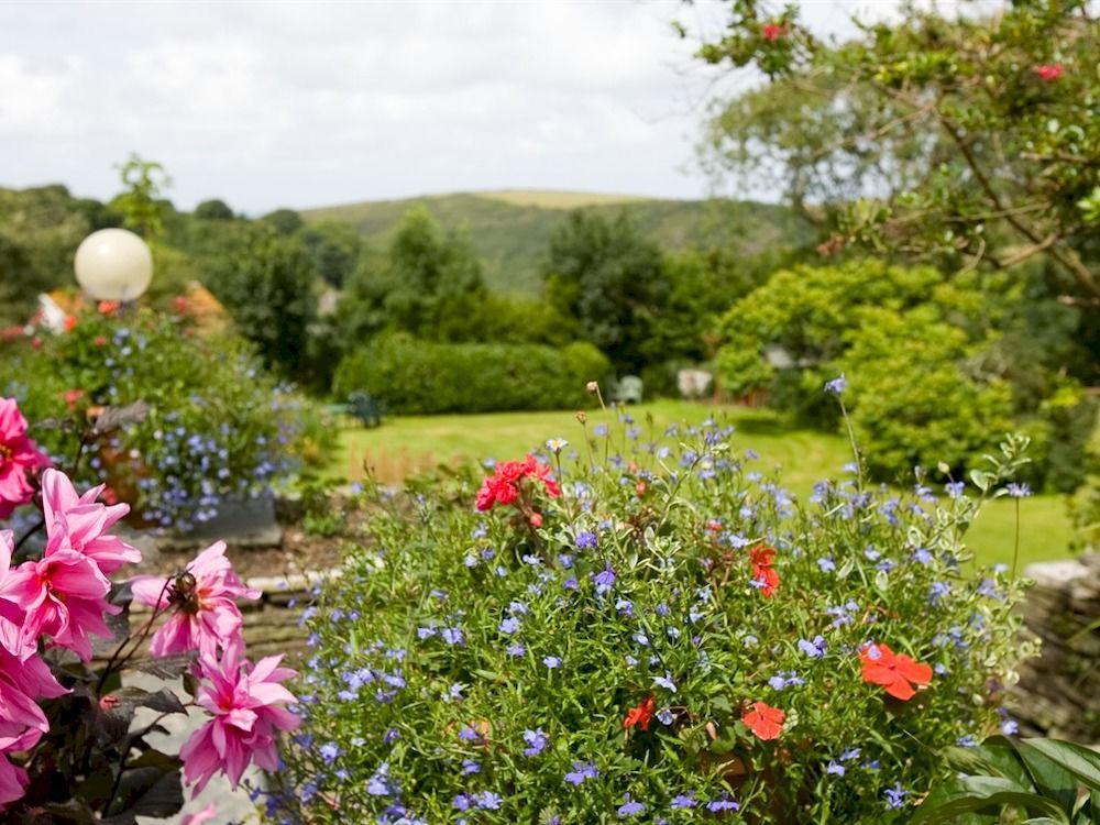 Boscastle House Bed & Breakfast Dış mekan fotoğraf
