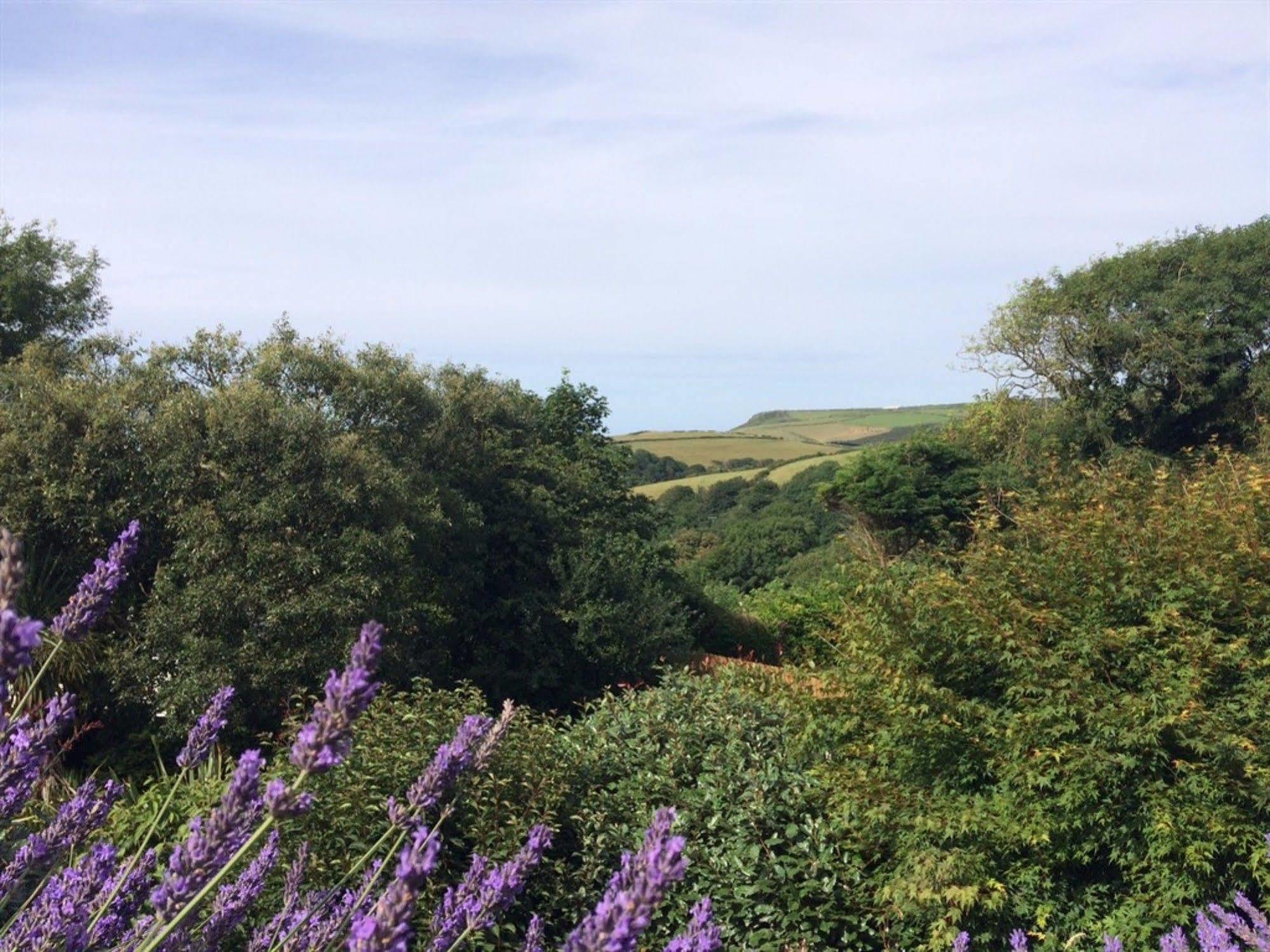 Boscastle House Bed & Breakfast Dış mekan fotoğraf